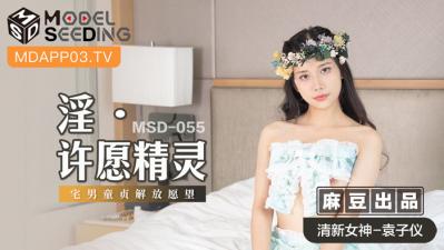 国产麻豆AV MSD MSD055 淫 许愿精灵 袁子仪 海报