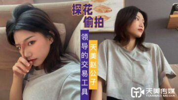 国产AV 天美传媒 天美赵公子探花 自拍领导的交易工具 海报