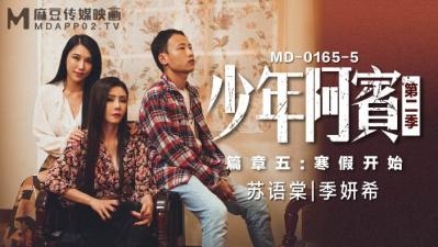 国产麻豆AV MD MD0165-5 少年阿宾 篇章五 寒假开始 苏语棠 季妍希 海报