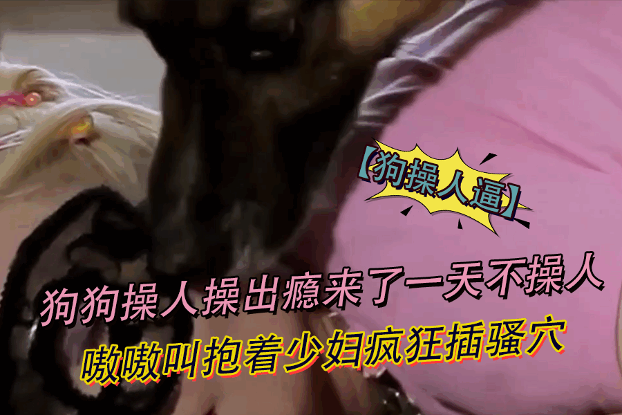 【狗操人逼】狗狗操人操出瘾来了一天不操人嗷嗷叫抱着少妇疯狂插骚穴 海报