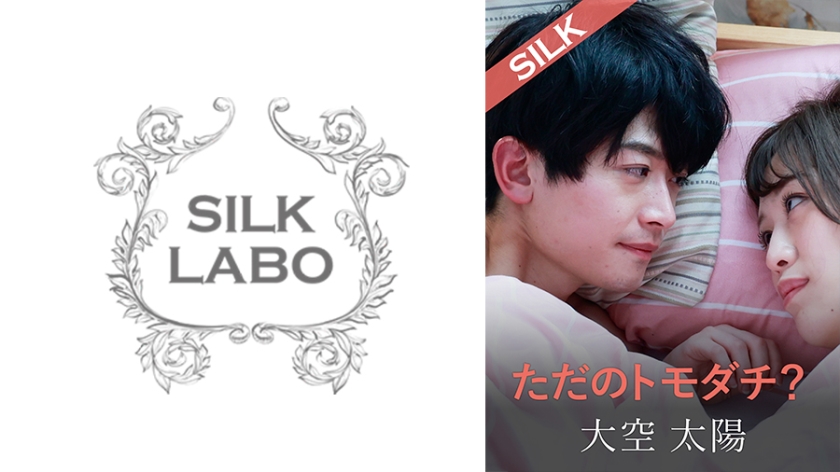 SILKS-104 闺蜜以上恋人未满？朋友界限突破实录！激情四射的秘密关系 海报
