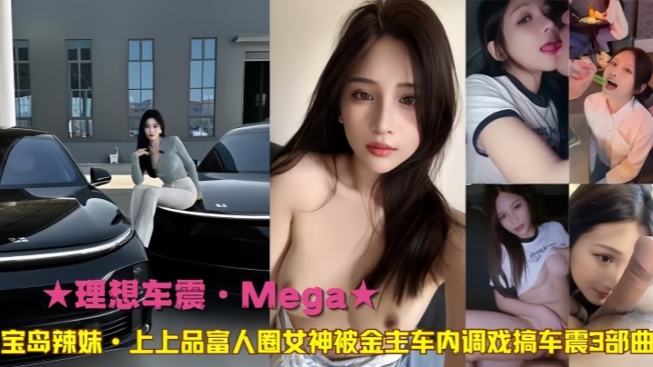 【理想车震·Meg﻿a】宝岛辣妹上上品富人圈女神被金主车内调戏搞车震3部曲 海报