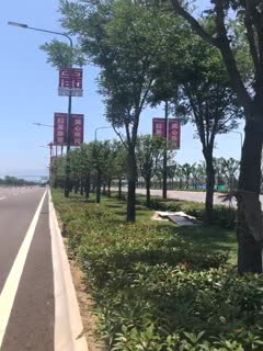 真够拼得超萌高颜值学生妹39℃高温下直接露脸脱光光在马路上跳舞 海报